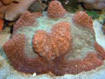 DSC02058.JPG