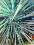 DSC02092.JPG