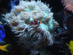 DSC02102.JPG