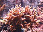 DSC02035.JPG