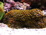 DSC02040.JPG