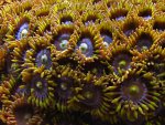 DSC02041.JPG