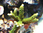 DSC02044.JPG