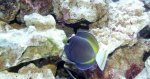 DSCF1270.JPG