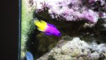 Dsc00364.jpg