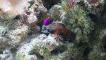 Dsc00439.jpg