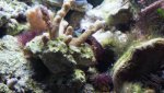 Dsc00477.jpg