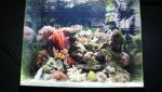 Dsc00435.jpg