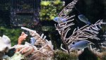 Dsc00541.jpg