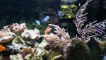 Dsc00545.jpg