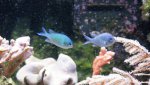 Dsc00551.jpg