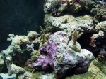 IMG_5401.jpg