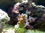 IMG_5403.jpg