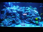 DSC02125.JPG