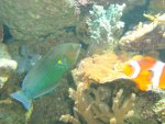 DSC02156.JPG