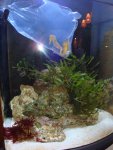 DSC02145.JPG