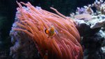 Dsc00779.jpg
