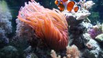Dsc00770.jpg