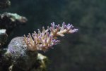 IMG_6342.jpg