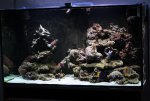 small-IMG_6347.jpg
