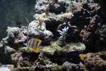 small-IMG_6350.jpg
