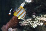 small-IMG_6355.jpg