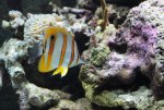 small-IMG_6359.jpg