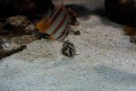 small-IMG_6363.jpg
