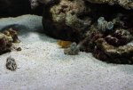 small-IMG_6365.jpg