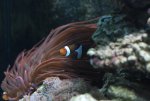 small-IMG_6361.jpg