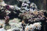 small-IMG_6360.jpg