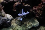 small-IMG_6373.jpg