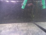 100_2103.JPG