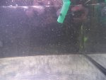 100_2097.JPG