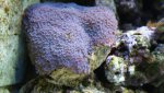 mini-DSC00838.JPG