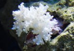 mini-DSC00839.JPG