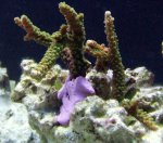 DSCF1311.JPG