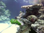 DSCF1318.JPG