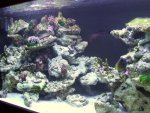 DSCF1319.JPG