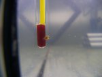 100_2128.JPG