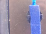 100_2139.JPG