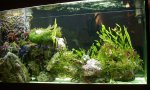 DSCN1546.JPG