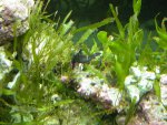 DSCN1549.JPG