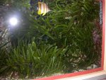 DSCN1562.JPG