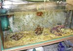 DSCN1569.JPG