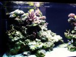 DSCF1379.JPG