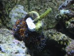 mini-IMG_2632.jpg