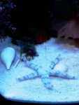 IMAG0198.jpg