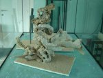 DSC01493.JPG