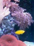 IMAG0217.jpg